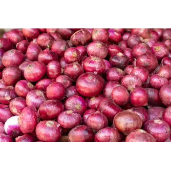 onion (12)-9108392-54232.webp